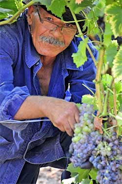 vente-vin-provence-3